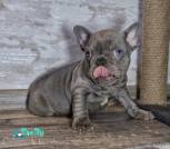 0-02-05-25786246976d11b79ce37f2539f50f1fea1e766c8740c094f7dfc57fed7b046d_d39d55e63aa1619b