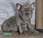 0-02-05-616f587c39a989884ec1b171b38b53082d3538ad4291ce6c4240b73a435357fa_b4212af58d9e0378