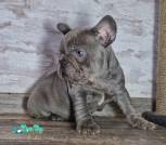 0-02-05-88b6813efb9627b5a07e96608d40acc2f4298bcd7effc17acf6a351835a0ebbf_7bd29cd7d29803