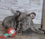 0-02-05-92f282d33ff81544fa3f2c5183f0eb54e247ec5ef8c36371438329e9a2dd70f9_9b1e4a5c5c2bf3cd