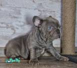 0-02-05-965263d26a24ac7280c75ca1fff9e03d78ea2feed382cd695b59c951bcf9dc65_4a1013bb53f9da27