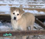 IMG-28e7197a47fc7bf4fa2b34dd0826a8a8-V