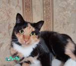 IMG_20260131_175311_704