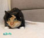 IMG_20260131_175311_989