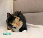 IMG_20260131_175311_993