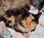 IMG_20260131_175312_465