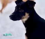 IMG-3914bccb273c063e5fe41f4a8c37dc1b-V