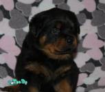 изображение_viber_2026-02-02_20-28-18-807