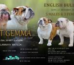 photo_2026-01-09_07-10-22