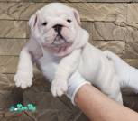 photo_2026-01-30_18-44-42