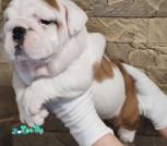 photo_2026-01-30_19-01-36