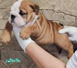 photo_2026-02-04_10-16-26