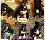 ekdtbH-GUNyQOKGIShtHm7GnJ4XdeBqJdEnO-EzMWxo5uTymeMV96JRGfaAmT277-AJmKz99jmBpIhkqiecKpD2m