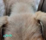 WhatsApp Image pp2026-02-04 at 16.52.15