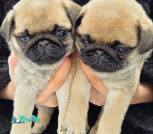 0-02-05-c464931965df85fc9a32ff32f0ac1005981d2e7b2d1e75236ff278f9df8e59c5_afca8c29259786fa