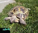 IMG_20250427_141140 (1)