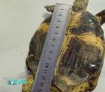 IMG_20260120_190105 (2)