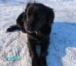 IMG-4599b2909762797c25c8fb5fb65df3df-V