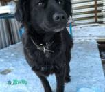 IMG-a0880d1ec0452bcb87869a022e3d1ead-V