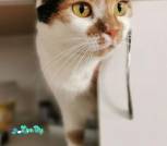 изображение_viber_2026-01-12_18-47-29-619