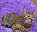 изображение_viber_2026-01-12_18-52-27-467