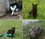 0xlw6v-LRafoK1Lt7MYzSBUvOGhhs9vU2IwsiTXcNCtWBe1nVGHeM5zut22Z