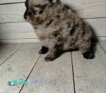 photo_10_2026-02-27_17-33-46