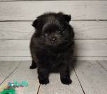 photo_13_2026-02-27_17-32-41