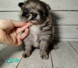 photo_13_2026-02-27_17-33-05