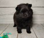 photo_8_2026-02-27_17-32-41