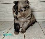 photo_9_2026-02-27_17-33-46