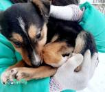 изображение_viber_2026-03-02_11-29-34-003