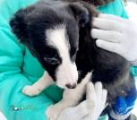 изображение_viber_2026-03-02_11-29-35-391