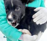 изображение_viber_2026-03-02_11-29-36-018