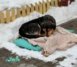 изображение_viber_2026-03-04_14-53-30-747