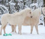 TmkU2bOvINkwo7bY188lRX3TkTcgoiVnI6nXCNMv8xKCU4FiFx2dmUm8DHo4pO_mrTOpeUPcACd_oYw4VWBKw0SN