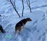 photo_2026-03-10_15-04-55 (3)