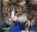 изображение_viber_2026-03-17_11-46-52-123