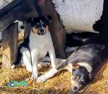 Screenshot_20260317-160815~2