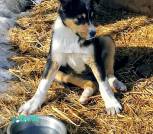 Screenshot_20260317-160907~2