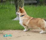 IMG_0428