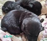 изображение_viber_2026-03-19_13-35-50-219