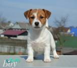 Photoroom_20260401_164222