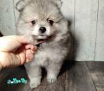 photo_12_2026-04-08_12-37-04