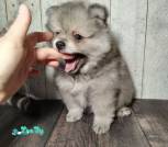 photo_14_2026-04-08_12-37-04