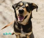 photo_2026-04-07_19-35-32 (2)