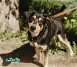 photo_2026-04-07_19-35-32 (3)