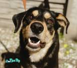 photo_2026-04-07_19-35-32