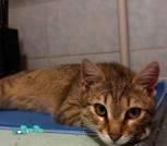 photo_2026-04-13_10-53-07