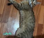 photo_2026-04-13_11-11-00